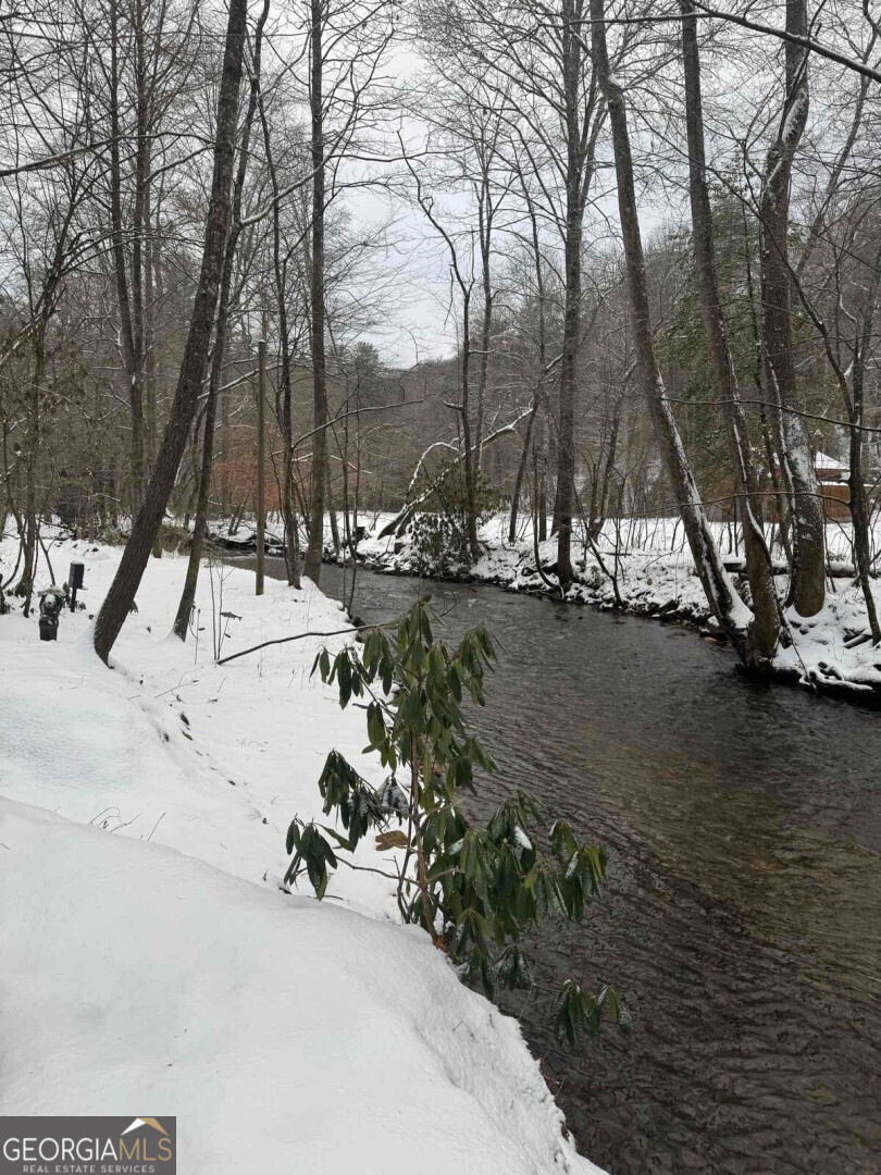 420 Olivers Trail Cherry Log, GA 30522 - Photo 25 of 27 a view of lake with a slide