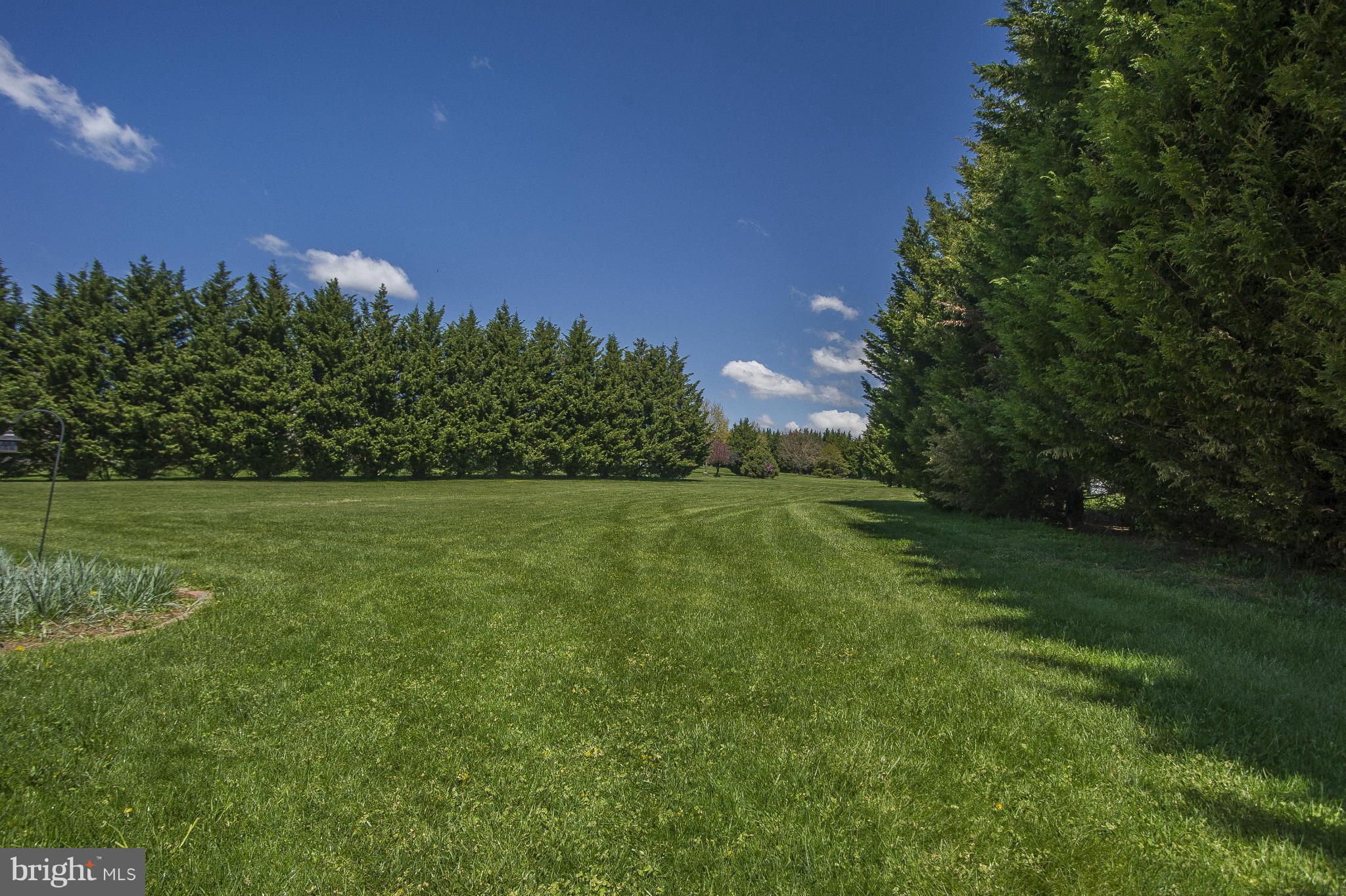9611 Greenel Road Damascus, MD 20872 - Photo 21 of 30 Exterior (Rear)