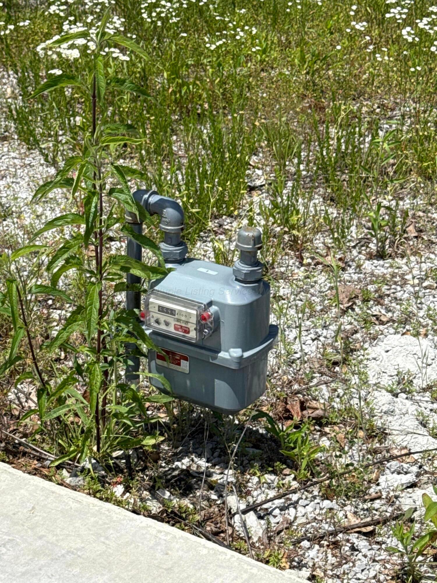 350 Thorndale Road Winfield, AL 35594 - Photo 8 of 9 Natural Gas