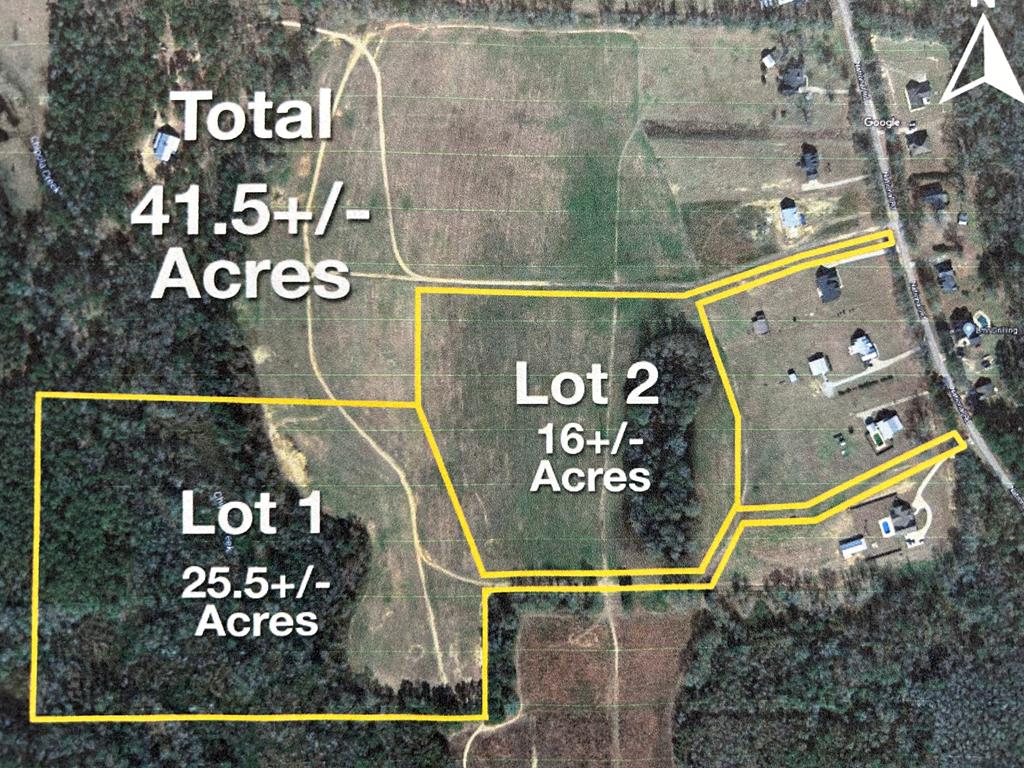 16-ac 16-ac National Road Dothan, AL 36301 - Photo 2 of 45
