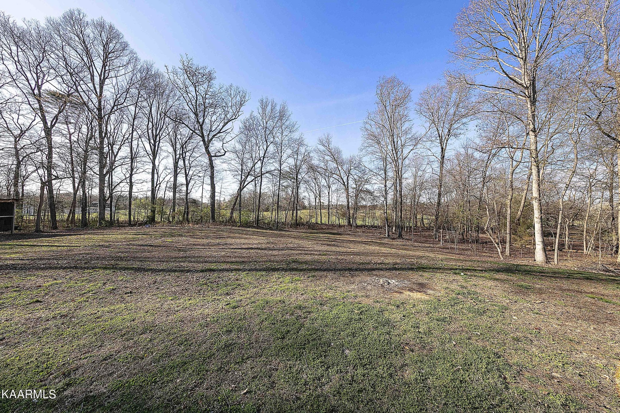 1434 Cunningham Road West Seymour, TN 37865 - Photo 31 of 31 a backyard of a house with lots of green space