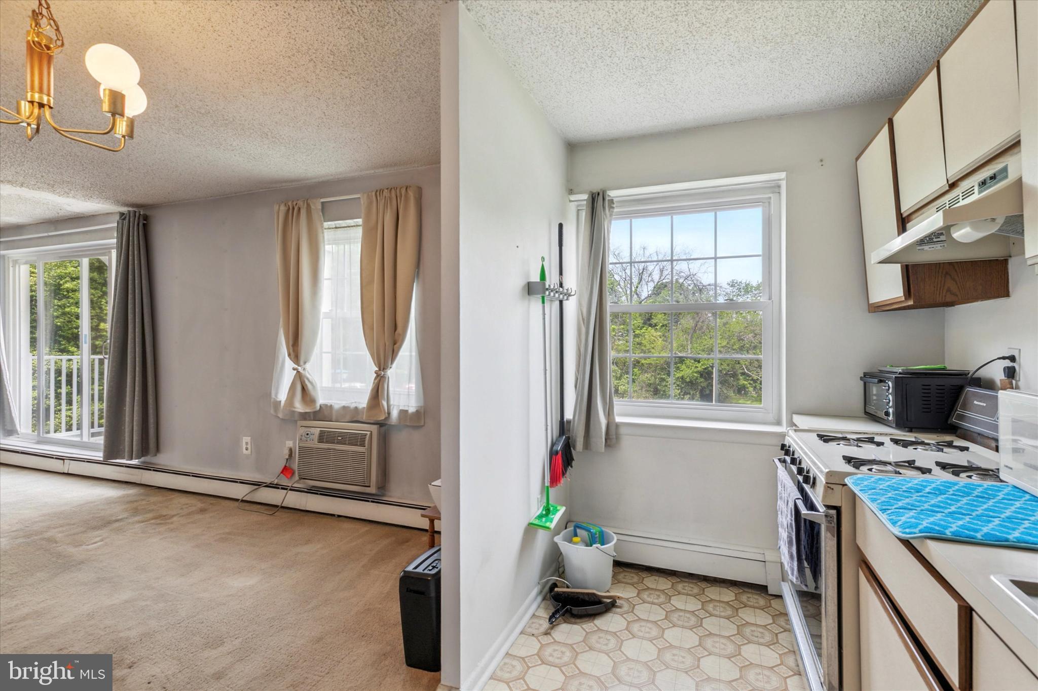 250 Ridge Pike, Unit CONDO 153 Lafayette Hill, PA 19444 - Photo 13 of 15