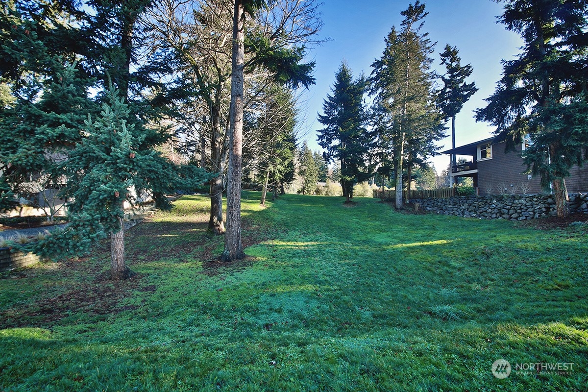 6329 Sahalee Court Clinton, WA 98236 - Photo 14 of 36 a view of a park that has large trees