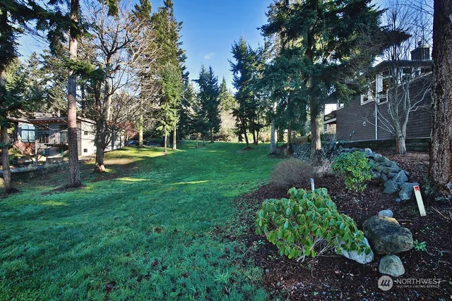 a view of a garden with trees