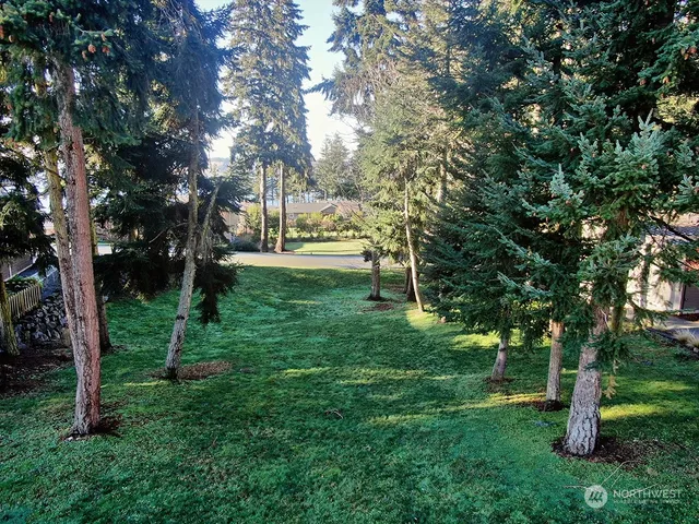 a view of a park with a tree