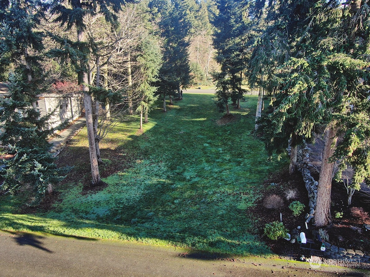 6329 Sahalee Court Clinton, WA 98236 - Photo 24 of 36 a view of a street with a tree