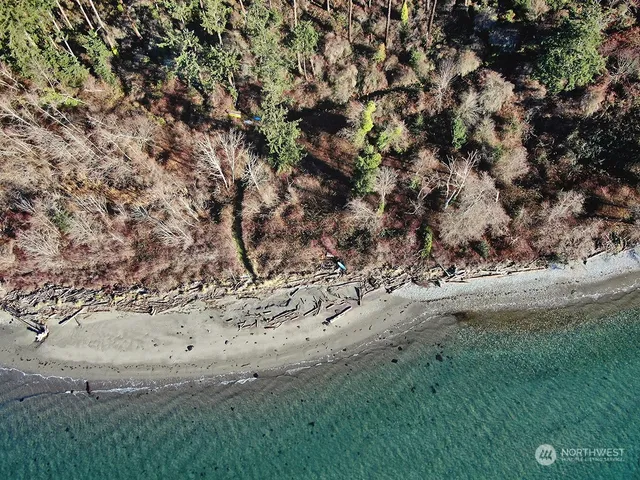 a view of dirt field with trees in background