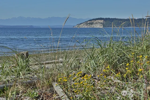 a view of a backyard of the house