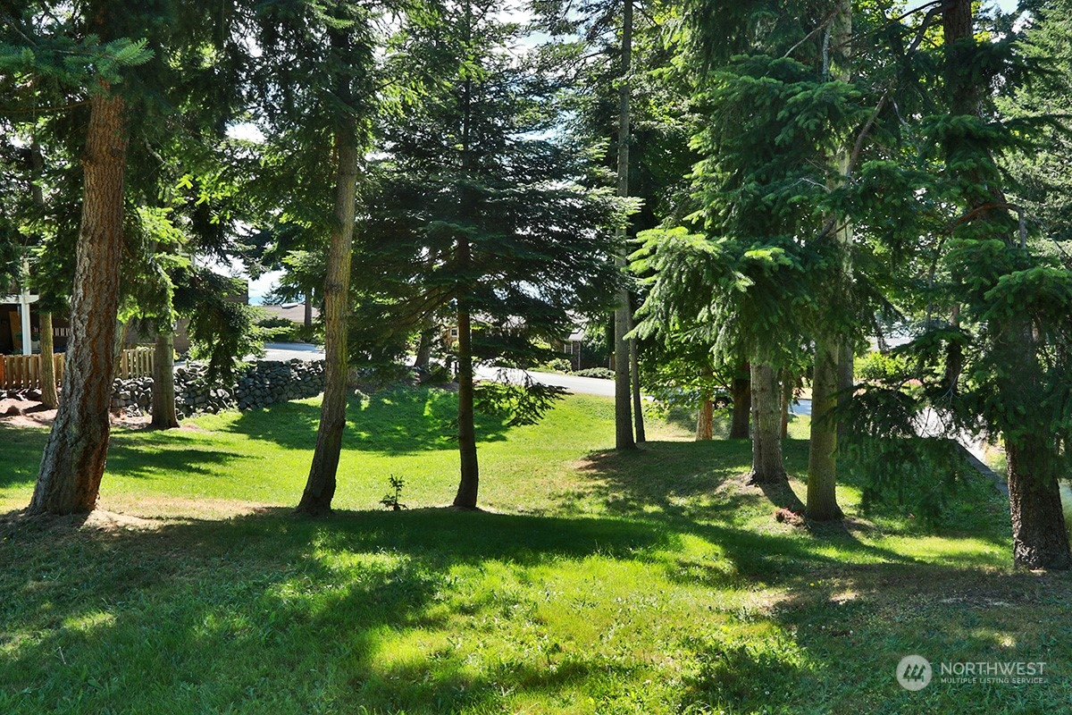 6329 Sahalee Court Clinton, WA 98236 - Photo 5 of 36 a view of yard with green space