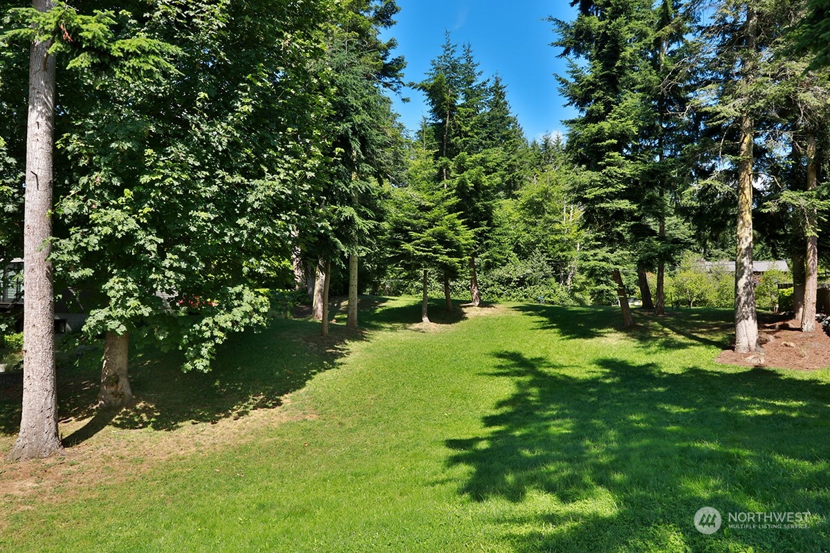 6329 Sahalee Court Clinton, WA 98236 - Photo 6 of 36 a view of backyard of house with green space