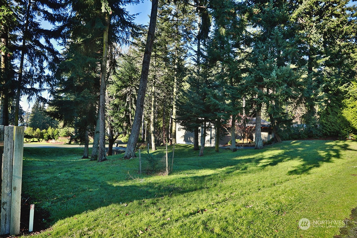 6329 Sahalee Court Clinton, WA 98236 - Photo 7 of 36 a view of a park with large trees
