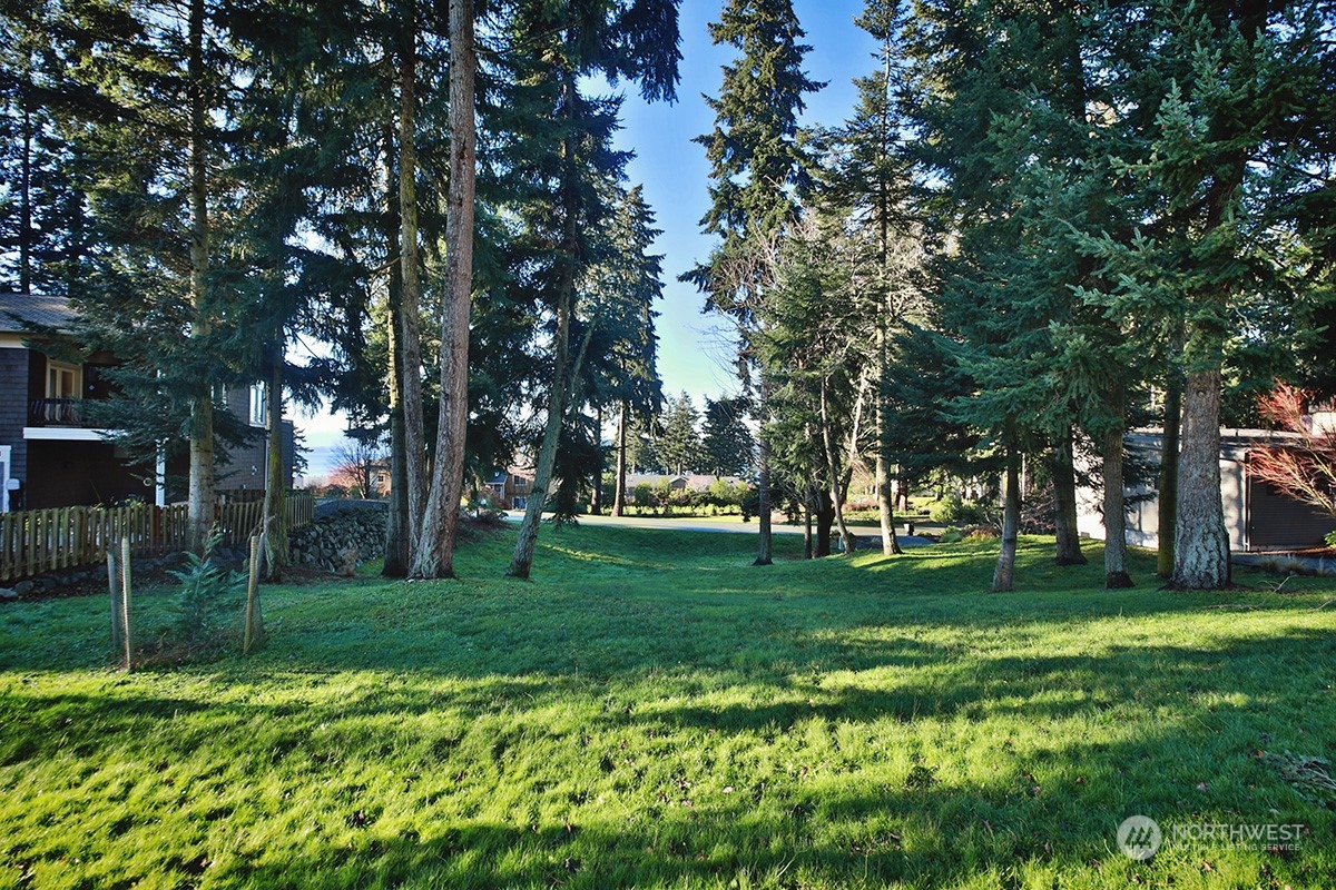 6329 Sahalee Court Clinton, WA 98236 - Photo 8 of 36 a view of a park with large trees