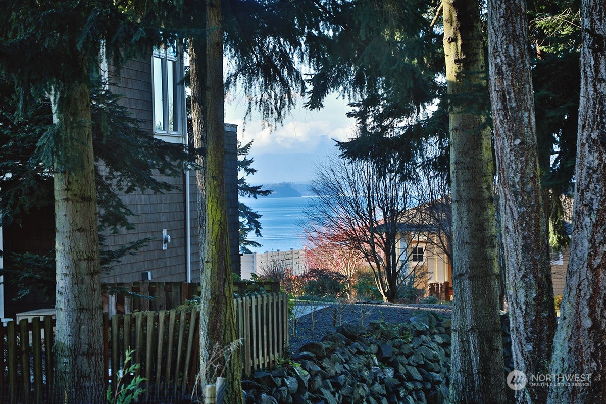 6329 Sahalee Court Clinton, WA 98236 - Photo 9 of 36 a view of a backyard of a house with lots of green space