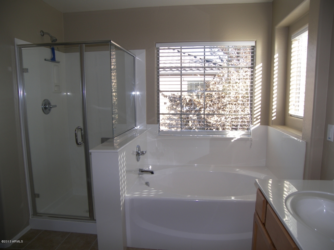 146 East Catclaw Street Gilbert, AZ 85296 - Photo 11 of 20 a bathroom with a bathtub a sink a window and a shower