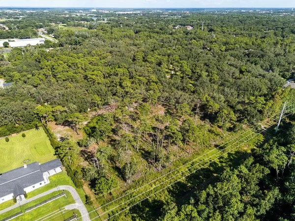a view of a yard with plants