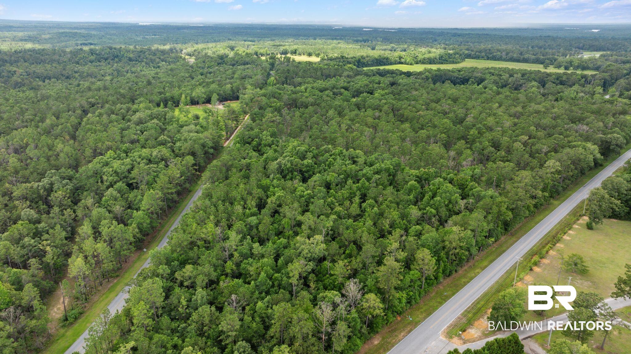 0 Hurricane Road Bay Minette, AL 36507 - Photo 14 of 30