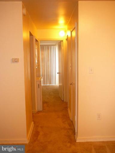 3340 Hewitt Avenue, Unit 66 3 Silver Spring, MD 20906 - Photo 9 of 13 Hallway