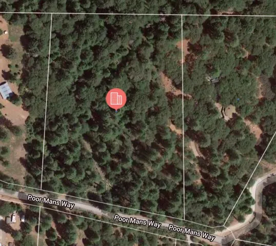 a view of a tree in a yard