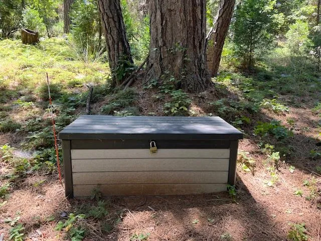 $45,000 | 5483 Poor Mans Way, Wilseyville, CA 95257