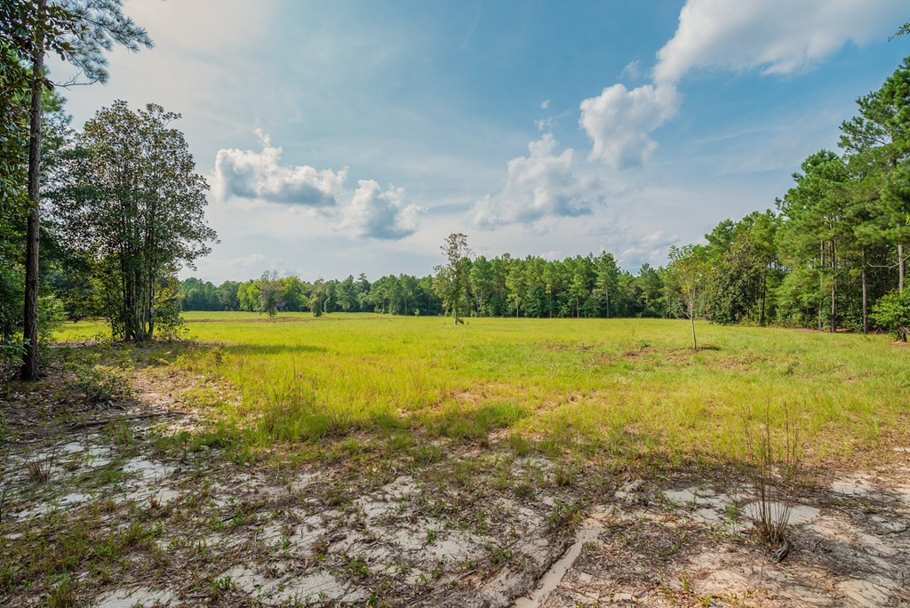 241 Voyager Road Salley, SC 29137 - Photo 22 of 31