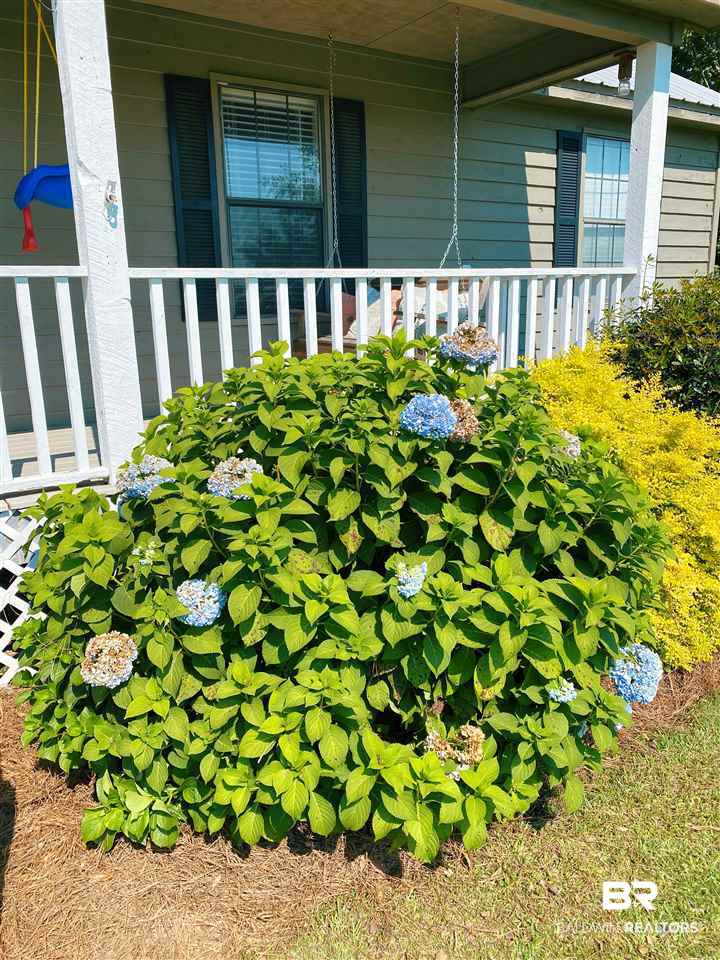 61801 Lottie Road Atmore, AL 36502 - Photo 45 of 46