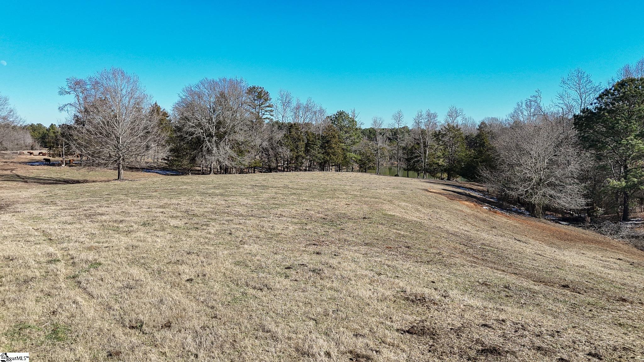414 Giggle Drive Laurens, SC 29360 - Photo 32 of 41