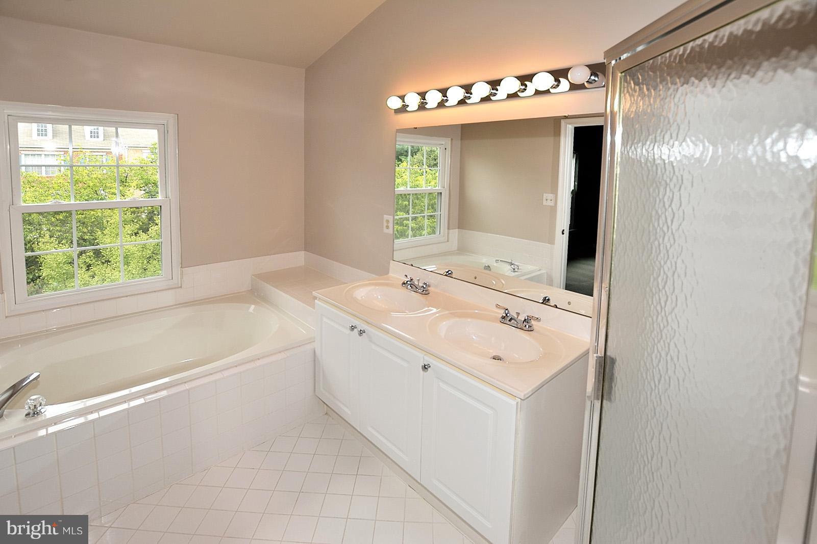 12019 Edgemere Circle Reston, VA 20190 - Photo 14 of 20 Bath (Master)