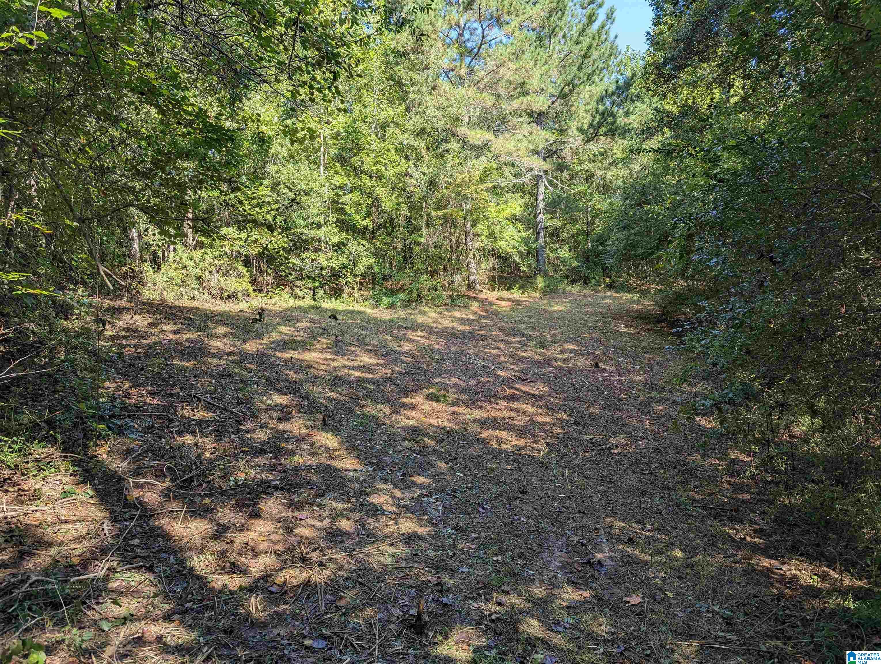 534 County Road, Unit 35 Woodland, AL 36280 - Photo 7 of 22