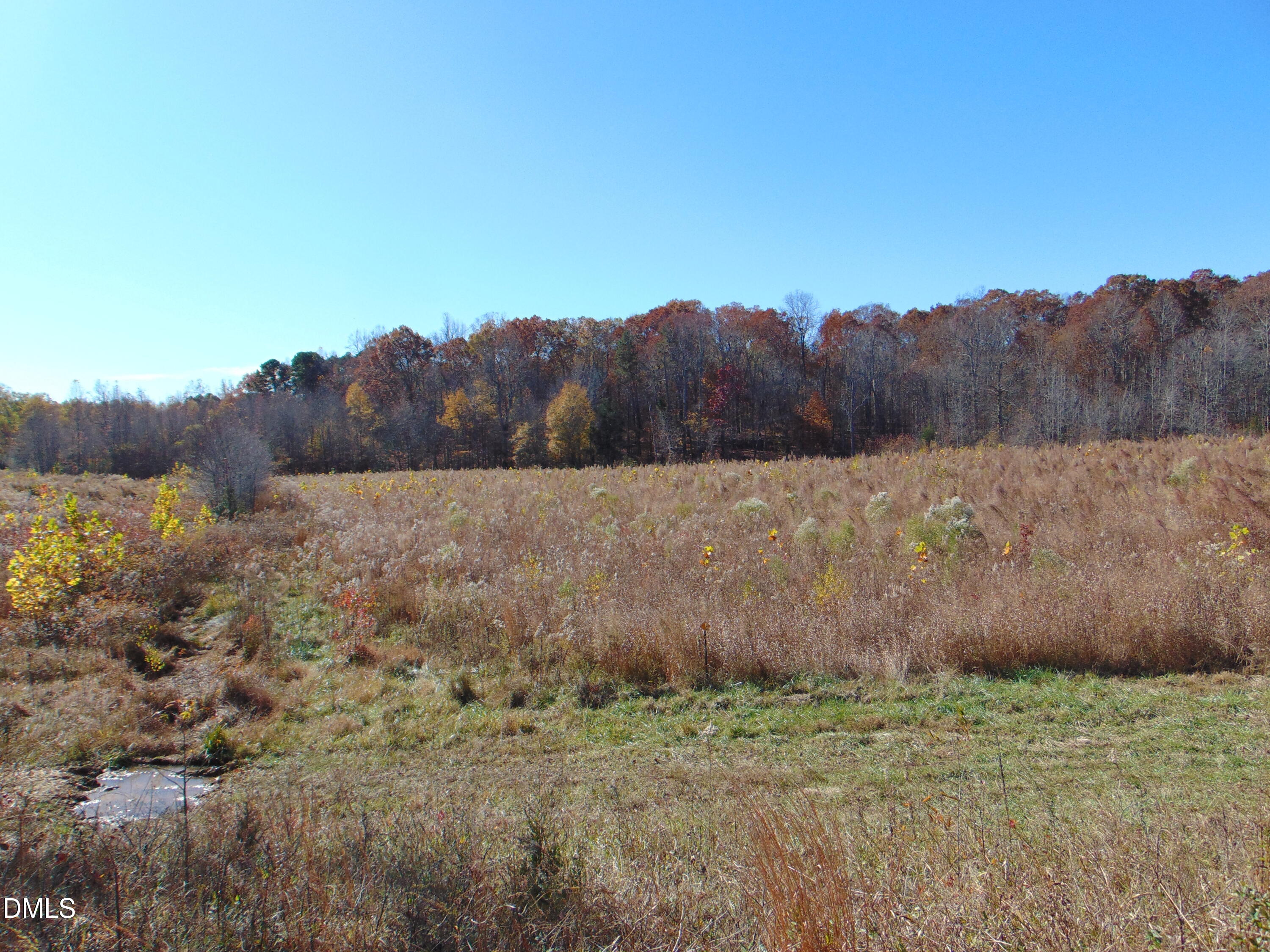 0 Antioch Church Road Roxboro, NC 27574 - Photo 29 of 61 DSC01271