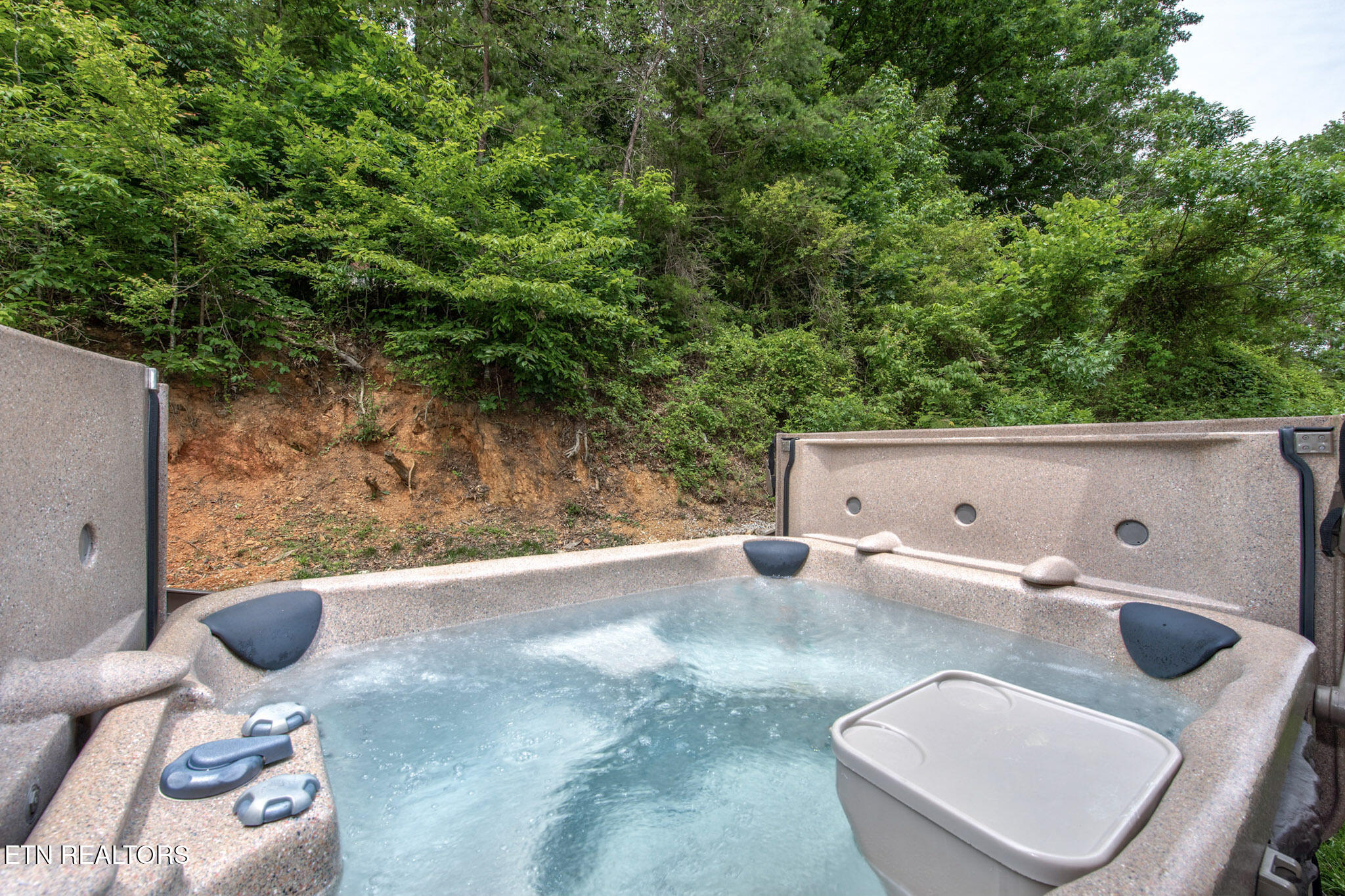 1249 McCarter Hollow Road Sevierville, TN 37862 - Photo 23 of 28 22-22_DollysNeighbor