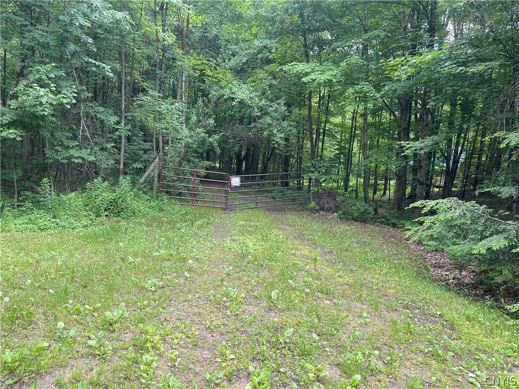 0 Goose Point Road Camden, NY 13316 - Photo 20 of 24