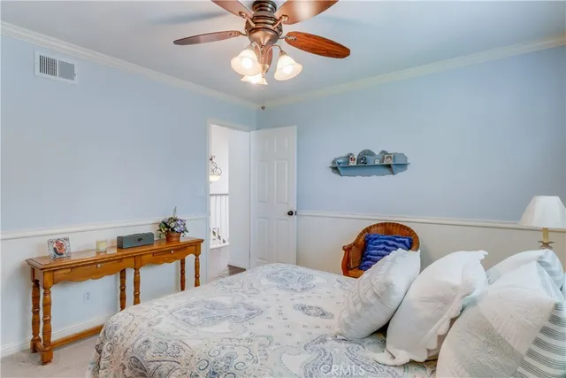 a room with furniture and potted plant