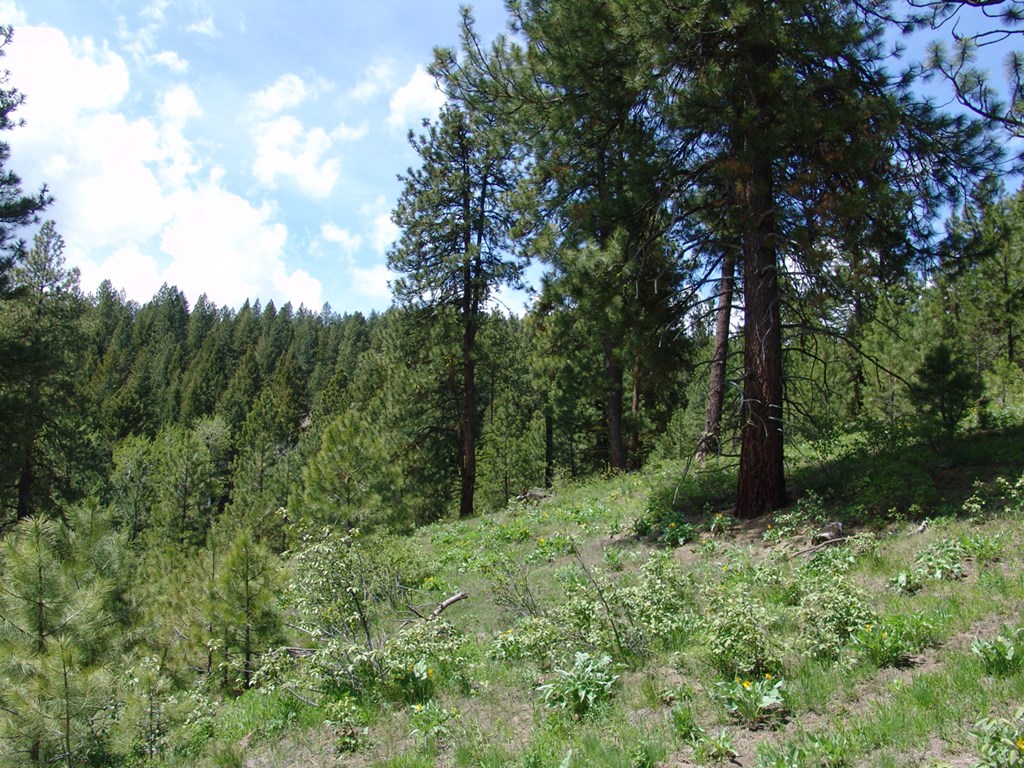 28 Rehn Loop, Unit 2 Cascade, ID 83611 - Photo 10 of 13 Located Just North of Cascade Just Before Little D