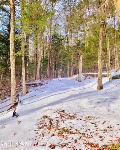 a view of open space with trees