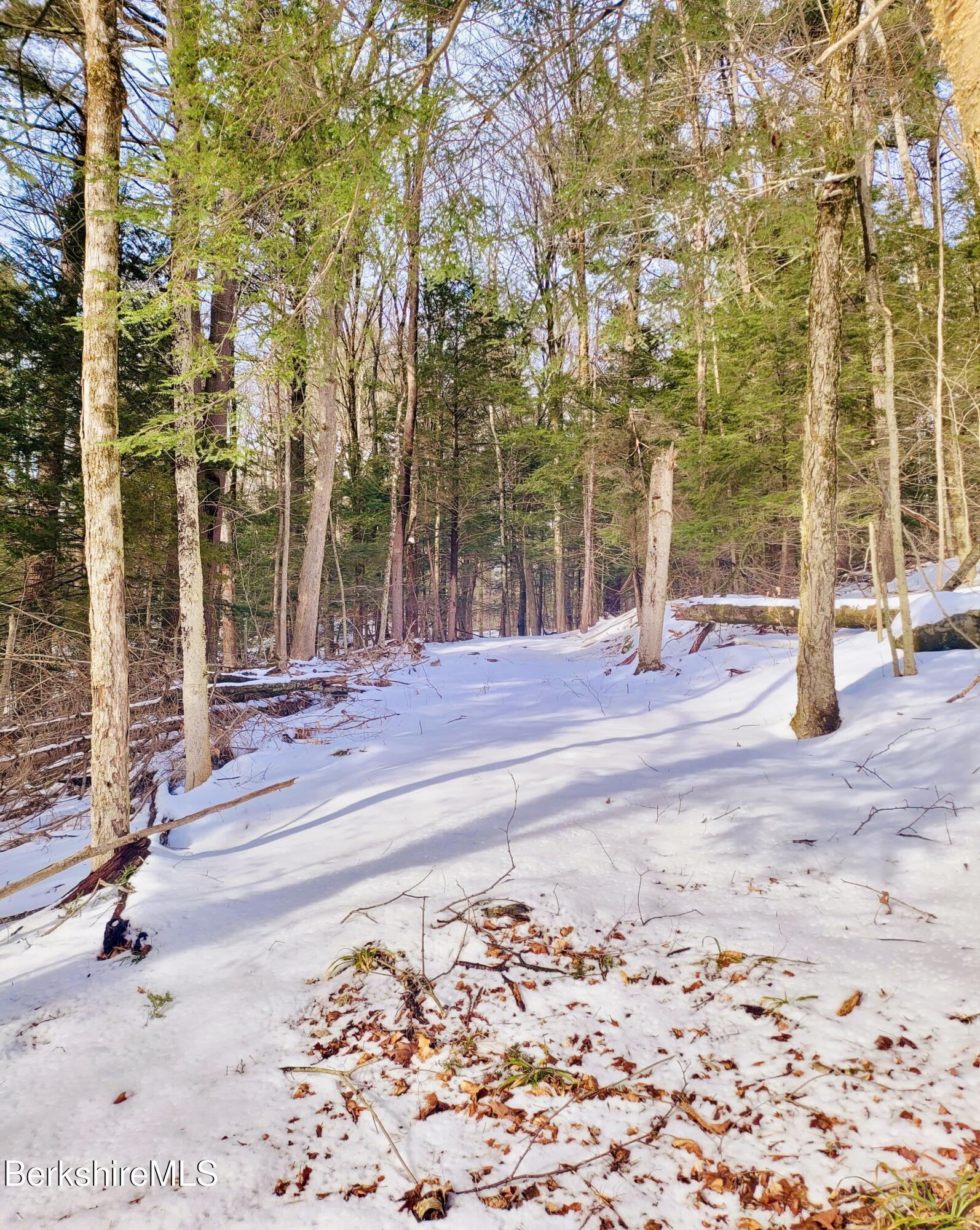 Lot 2 Leland Road Becket, MA 01223 - Photo 11 of 25 a view of a yard with a house