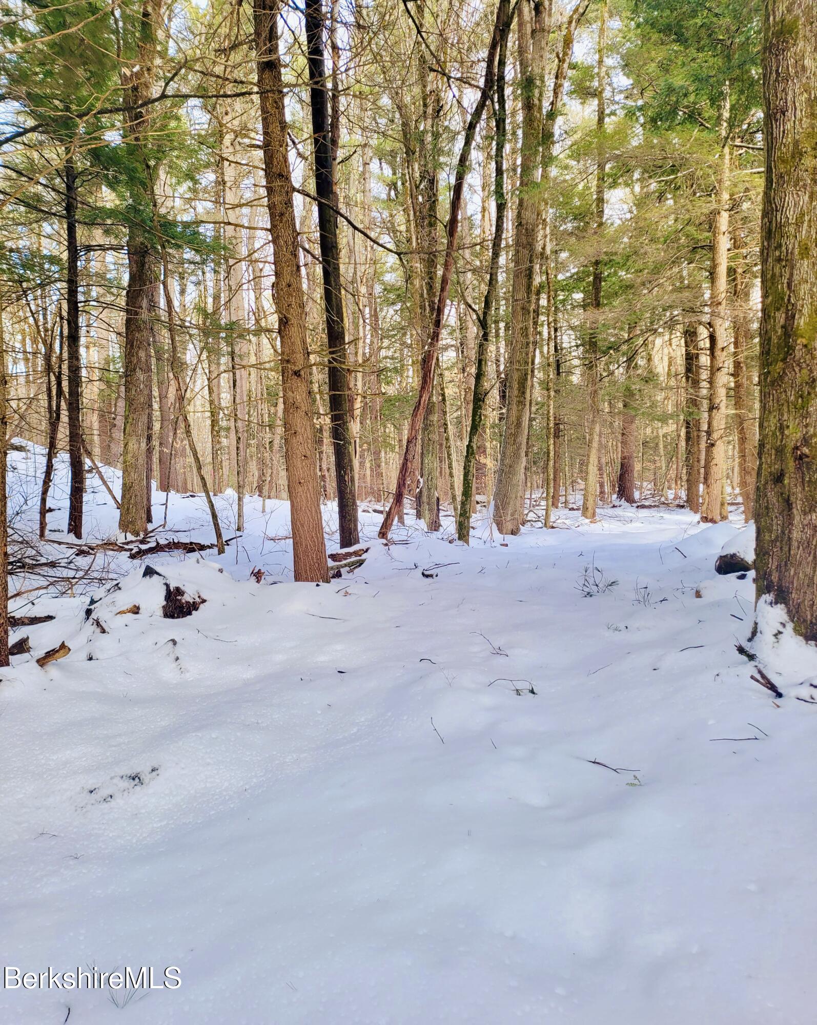 Lot 2 Leland Road Becket, MA 01223 - Photo 12 of 25 a view of outdoor space with trees