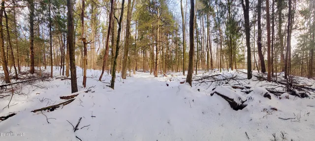 a view of outdoor space and tree