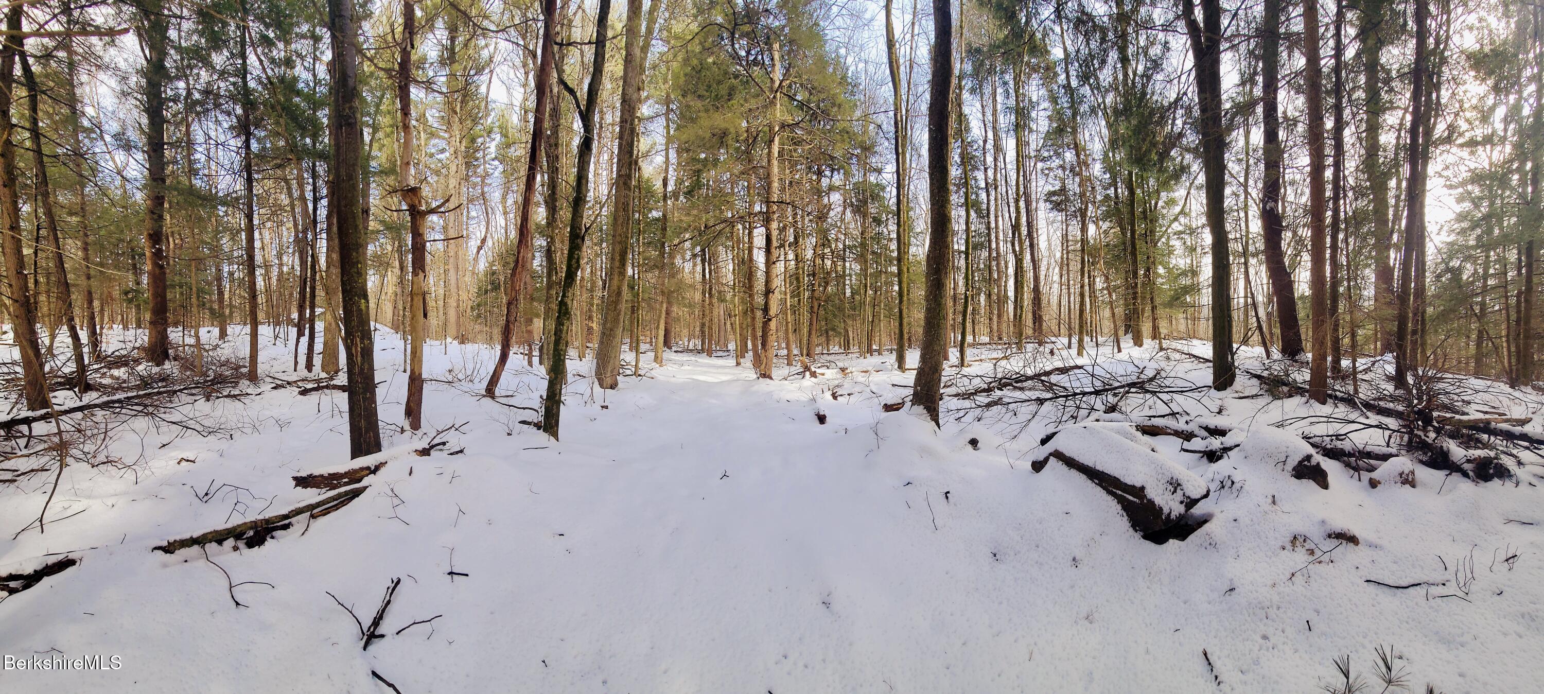 Lot 2 Leland Road Becket, MA 01223 - Photo 13 of 25 a view of open space with trees