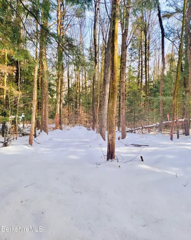 a view of outdoor space with lots of trees