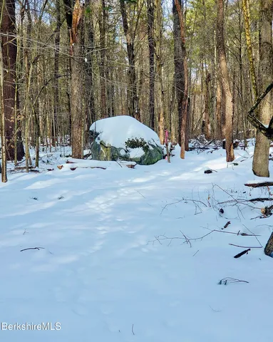 a view of street with tall trees