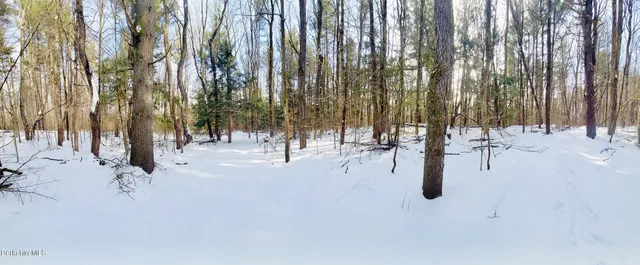 a view of a road with trees in the background