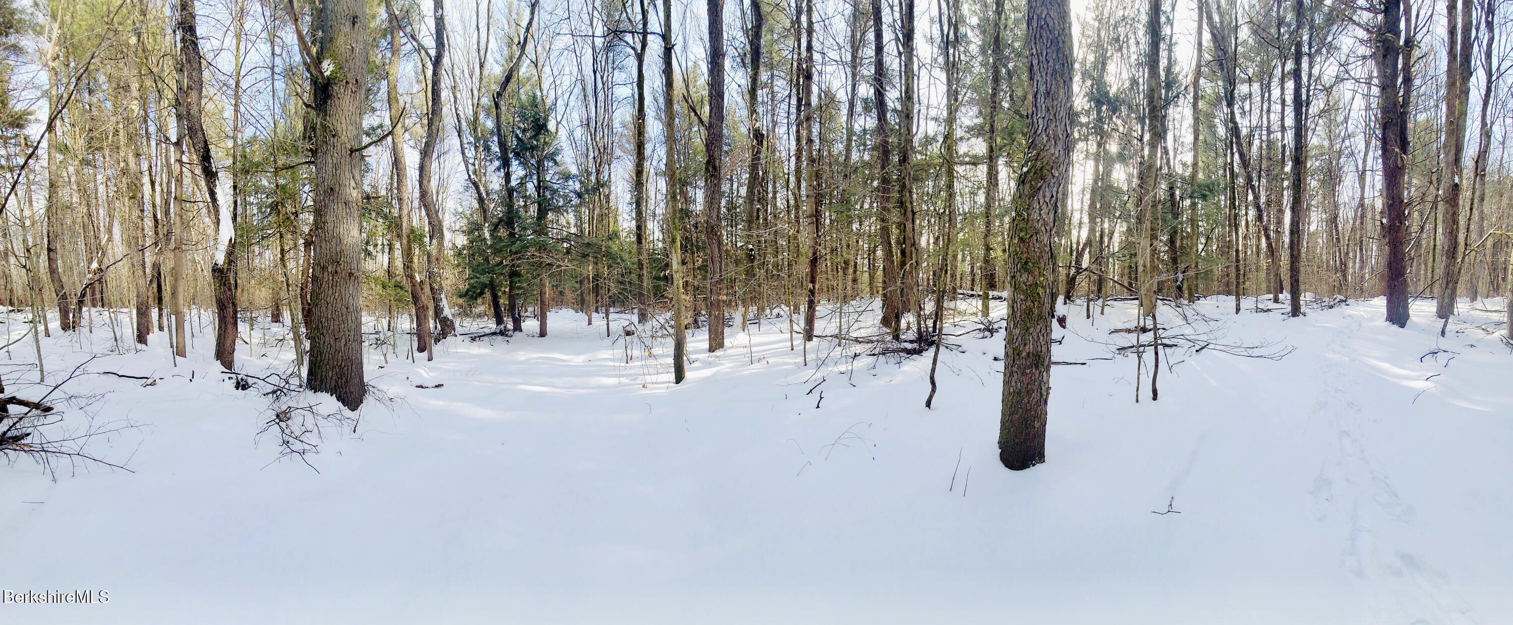 Lot 2 Leland Road Becket, MA 01223 - Photo 18 of 25 a view of outdoor space with lots of trees