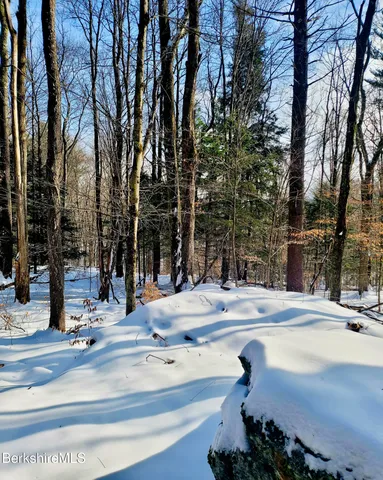 a park view with large trees