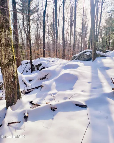 a view of covered with snow on the road