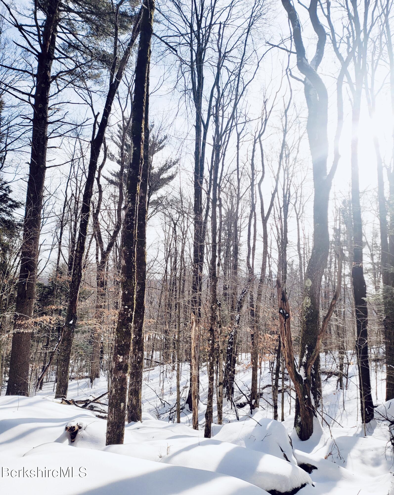 Lot 2 Leland Road Becket, MA 01223 - Photo 23 of 25 a view of a road with trees in the background