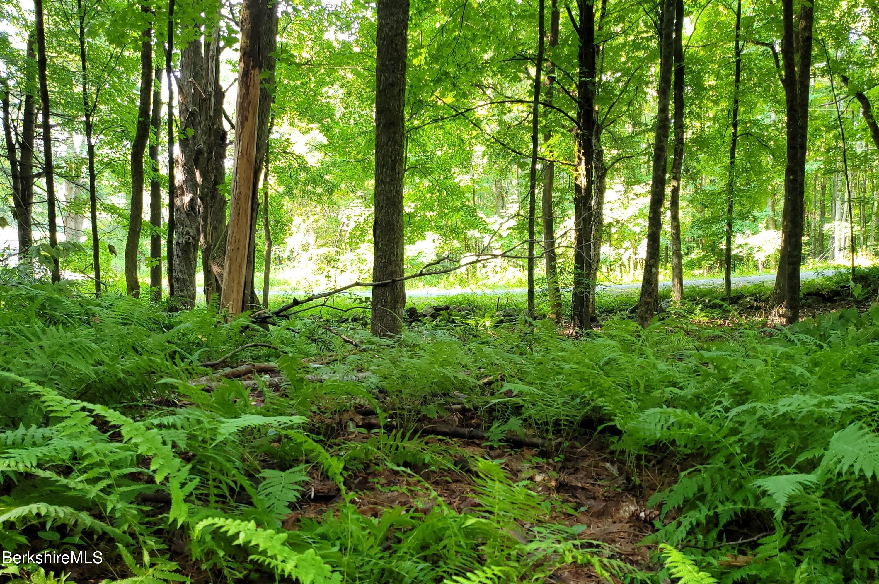 Lot 2 Leland Road Becket, MA 01223 - Photo 4 of 25 a backyard of a house with lots of green space and garden