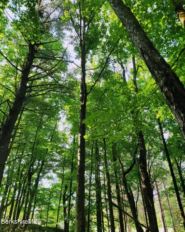 a view of road with trees