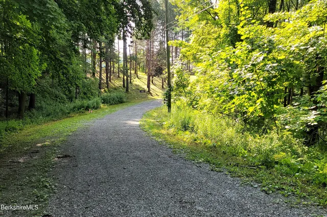a view of road and trees