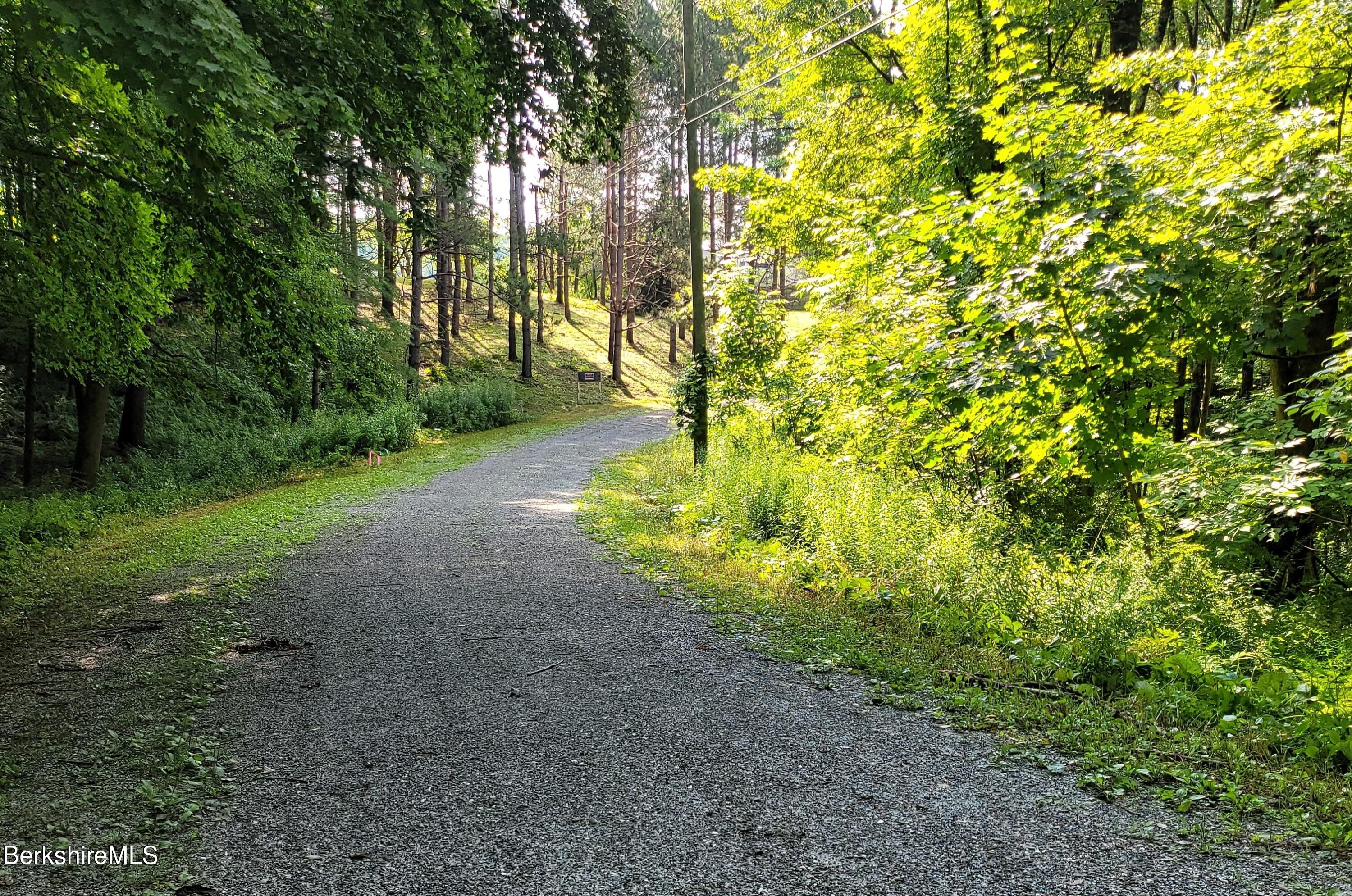 Lot 2 Leland Road Becket, MA 01223 - Photo 8 of 25 a view of yard with green space
