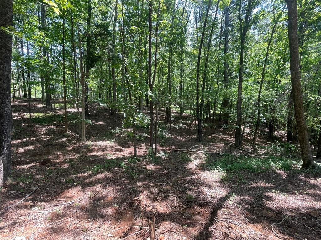 3 Chalcrest Way Cave Spring, GA 30124 - Photo 11 of 57